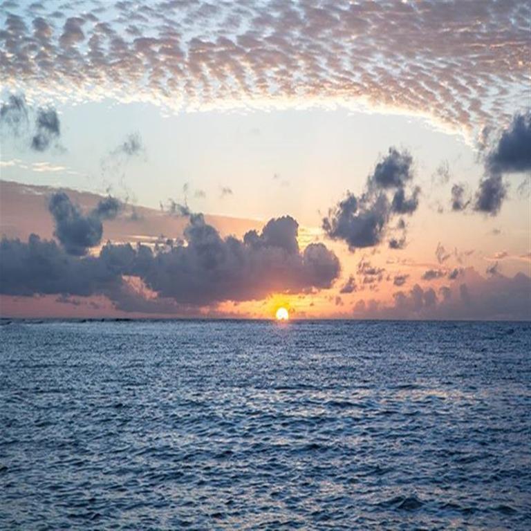 Holiday Cottage Thoddoo, Maldives Екстериор снимка
