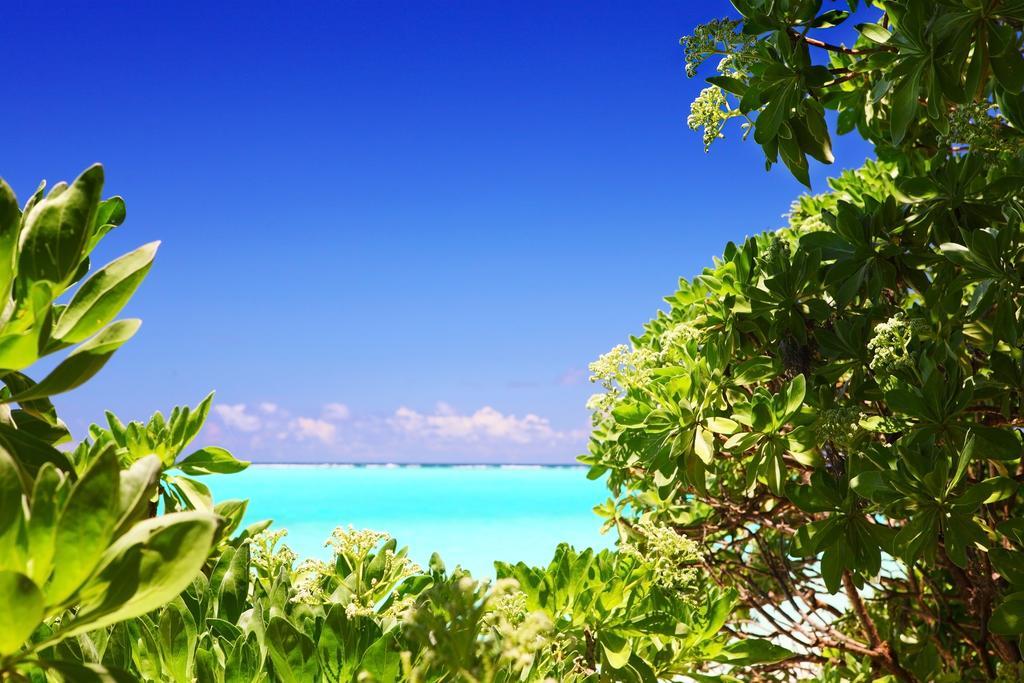Holiday Cottage Thoddoo, Maldives Екстериор снимка