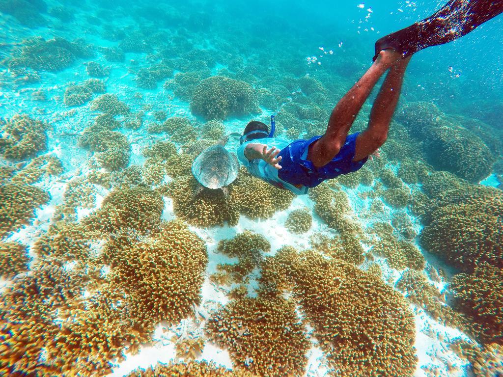 Holiday Cottage Thoddoo, Maldives Екстериор снимка